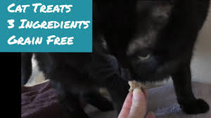 The best thing about these cat treats / cat cookies, is that they're made out of actual whole foods! Homemade Cat Treats 3 Ingredients Grain Free Youtube