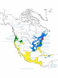 Linguistical Map Of Bourbon America 1800 By Lorec10 Map Alternate History History
