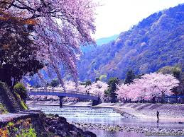 Spring scenery is part of the nature & landscape wallpapers collection. Spring Landscape Wallpapers Top Free Spring Landscape Backgrounds Wallpaperaccess