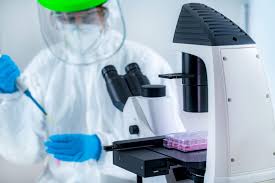 Daftar Biaya Rapid Test Dan Pcr Di Samarinda Dan Balikpapan Kaltim Today