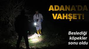 Adana Da Kopek Vahseti Gundem Gundemotuzbes