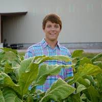 60+ "Stainback" profiles