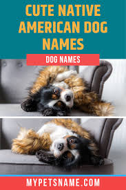 Cute Native American Dog Names In 2020 Native American Dog Dog Names American Dog