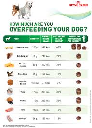 Dog Treat Calorie Chart Goldenacresdogs Com