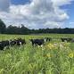 Pasture Walk at University of Maryland WMREC