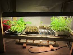 How To Make A Grow Light For Your Garage Idaho Gardening