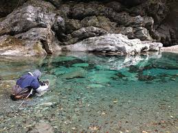 仁淀川 によどがわ という 四国の人でも知る人ぞ知る川です 愛媛県の石鎚山が源流の仁淀川は 愛媛県から高知県の7市町村を跨いで太平洋へと流れ込む流路延長124km 流域面積1560平方kmの清流で 四万十川 吉野川と並び四国三大河川の一つです 四万十川に比べて