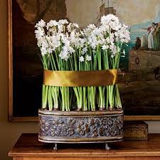 Your Guide To Paperwhites Paperwhites Christmas Centerpieces Pretty Flowers