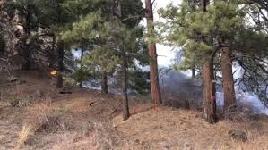 @jeffcosheriffco's video Tweet