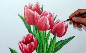 Dengan berbagai gambar yang ada pasti anda ingin memiliki dari salah satu yang sudah saya sebutkan diatas. 30 Trend Terbaru Gambar Bunga Tulip Sketsa Berwarna Tea And Lead