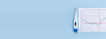 Image result for Basal Body Temperature