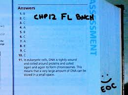 Fsaa ela (0 to 100) fsa algebra 1 eoc: Biology Mr Miguez S Science Class