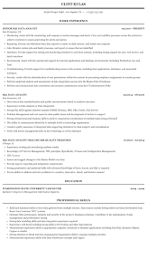 A data analyst, or data business analyst, is responsible for using their knowledge of data processing software and business development strategies to provide sound business decisions to company executives. Sql Data Analyst Resume Sample Mintresume