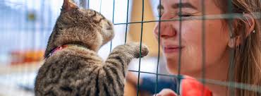 The pet fund was founded in 2003 as a national nonprofit dedicated to funding veterinary care for those who could not afford it. Apply For Grant Opportunities Funding Petsmart Charities