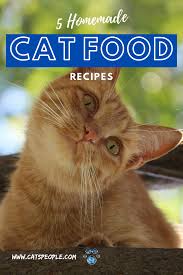 5 Homemade Cat Food Recipes Easy Cheap And Fun To Make In 2020 Cat Food Homemade Cat Food Homemade Cat