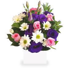 We did not find results for: Wonderland Flower Flowers Everywhere Delivery Same Day