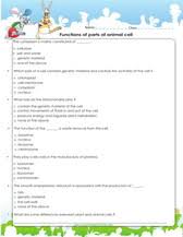 Plant cells have plastids essential in photosynthesis. Plant And Animal Cells Worksheets Games Quizzes For Kids