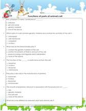 Maybe you would like to learn more about one of these? Plant And Animal Cells Worksheets Games Quizzes For Kids