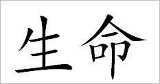 Nowadays, in our social media and daily life, the usage of symbols is becoming. Chinese Symbol For Life Chinese Symbols Chinese Alphabet Symbols