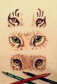 Cat Eyes Animal Drawings Art Reference Animal Sketches