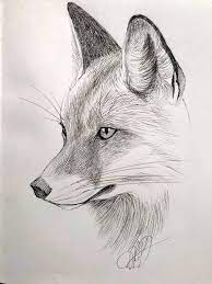 Fox Micron Sketch By Margaret Dean Animals Animal Drawings Sketches Art Drawings Sketches Simple Realistic Animal Drawings