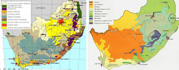 Unesco/aetfat/unso (white's) vegetation map of africa. Africa Map Africa Vegetation Map