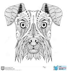 Zentangle Dogs Schnauzer Dog Head Zentangle Stylized Vector In Funny Schnauzer Coloring Pages Schnauzer Art Dog Coloring Page Animal Coloring Pages