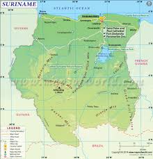Tropical rainforests have pretty much the same weather every day. Pin On We Are This World
