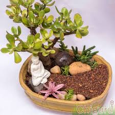 These tiny enchanting scenes arouse the curiosity. Chiguru The Miniature Garden Store Lbb Bangalore