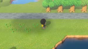 Maybe you would like to learn more about one of these? Animal Crossing New Horizons Hybrid Flowers Crossbreeding And Prices Vg247