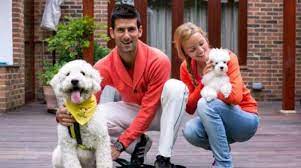 Nikola jokic and novak djokovic both tested positive for coronavirus after attending same event. Novak Djokovic And Jelena Ristic Expecting A Baby Boy