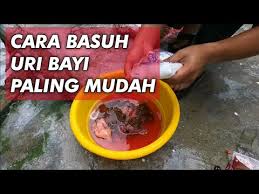 Cara membuat website disini sudah membantu lebih dari 1000 pemula berhasil membuat website sendiri cara membuat website. Cara Basuh Uri Bayi Paling Mudah Siap Tanam Sekali Youtube