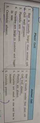 We did not find results for: Differences Between Animal Cell And Plant Cell In Tabular Form Brainly In