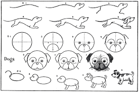 To print the coloring page: How To Draw A Dog Pug Dachshund Etc The Graphics Fairy
