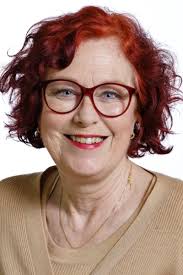 Verkiezing Wijkraden