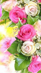 Amazon Com Flower Wallpaper Floral Rose Background Rosely Appstore For Android Tons of awesome gulab jamun wallpapers to download for free.