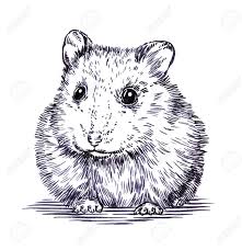 Hamster picture 835 1000 jpg. Black And White Engrave Ink Draw Hamster Illustration Stock Photo Picture And Royalty Free Image Image 55370481