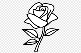 Gambar bunga, gambar bunga dahlia, gambar mewarnai, mewarnai gambar. Drawing Rose Line Art Color Sketch Rose Watercolor Painting Symmetry Monochrome Png Pngwing
