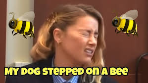 MY DOG STEPPED ON A BEE 🐝- FULL CLIP