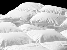 Translatero.com > indonesian english online translator. Continental Quilt Definition And Synonyms Of Continental Quilt In The English Dictionary