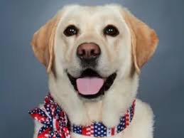 Career Educator, Former Tuscaloosa City Schools CFO Dead At 76