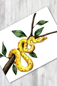 Watercolor Snake Snake Drawing Colorful Drawings Painting Art Projects