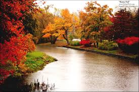 42 Rainy Fall Wallpaper On Wallpapersafari Find the best rain wallpaper hd on wallpapertag. rainy fall wallpaper on wallpapersafari