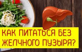 диета после удаления желчного пузыря через 1 5 месяца Dieta Pri Udalennom Zhelchnom Puzyre Vse Chto Nuzhno Znat B I S O N