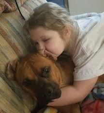 Yesterday at the dog park I spotted Shibe, Corgo, and Pomsky babies playing  together!!