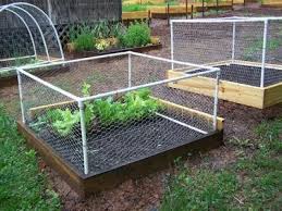 Garden Fencing Small Garden Fence Small Vegetable Gardens Garden Fencing