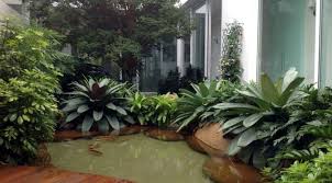O Tamanho Ideal Para Um Lago Ornamental Peixes De Aquario