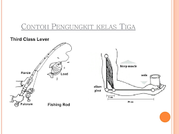 Selamat Datang Di Singkole Primary School Ppt Download