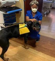 The owner, founder and chairman of the board of pet partners, john spurling, got into the insurance business after he left a successful marketing business that he grew and sold to a global conglomerate in 1980. Pet Partners At Your Facility Pet Partners