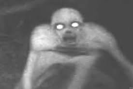 Some include ghosts, mysteries and scary things caught on tape and they will all give you chills! 10 Of The Creepiest Things Ever Caught On A Trail Camera